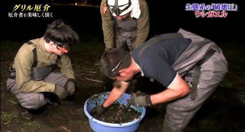 牛哥最新爆料新闻视频,最新爆料新闻视频深度解析